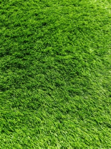 Gazon Artificial, Ricos, Verde, 100x700 cm, Delta