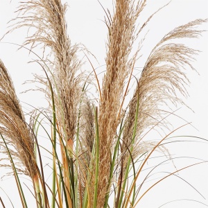 Planta decorativa cu ghiveci Bulrush Verde 65x65x120 cm - Img 2
