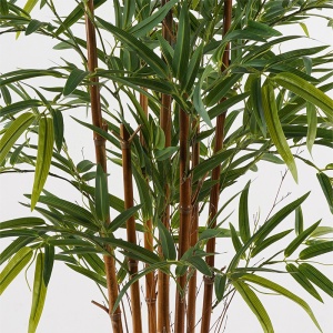 Planta decorativa cu ghiveci Rhapis Palm Verde 80x80x180 cm - Img 2