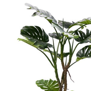 Planta decorativa Monstera III Pako World Negru inaltime 180 cm - Img 2