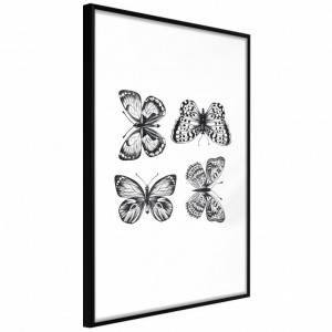 Poster - Butterfly Collection III, cu Ramă neagră, 40x60 cm