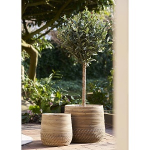 Set 2 piese Cosuri Moro Baskets, Natural, 38x38x34 cm - Img 2