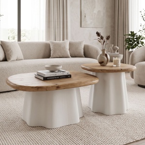 Set masute de cafea, 2 buc, Loberta, Pako, Alb 60x60x43 cm