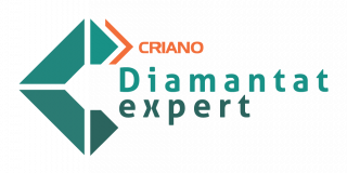 DiamantatExpert.ro - Tehnica Diamantata pt. Profesionisti