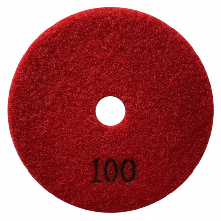 Paduri / dischete diamantate pt. slefuire uscata #100 Ø125mm - DXDY.DRYPAD.125.0100