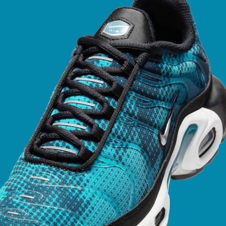 Nike Air Max TN Plus Black Dusty Cactus - Img 3