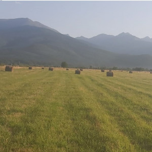 Amestec iarba coasa sau insilozare special extraproteic cu lucerna