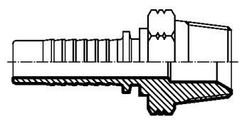AGN - NPTF