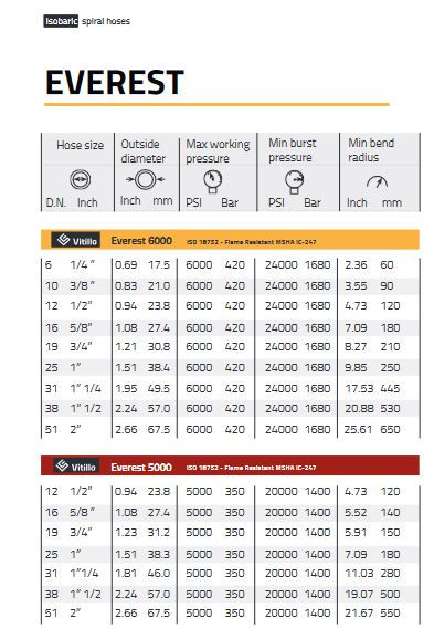 TSER612- EVEREST 6000 DN19 (3/4&quot;) 420 BAR - Img 3