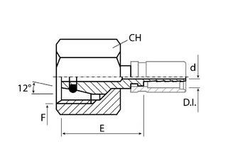 A 6L MC 2,1