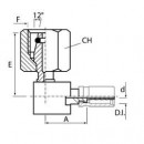 A2 6L MC 2,1
