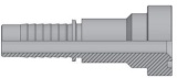 P5 NP 38 CAT