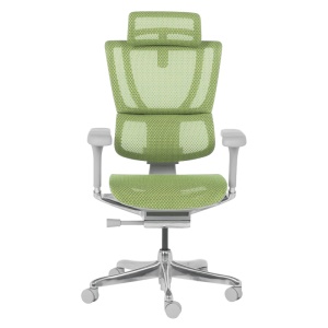 Ергономичен стол ERGOHUMAN IOO ELITE 2 - сива рамка - зелен - Img 4