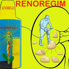 Renoregim, tratament naturist pietre la rinichi, 4 flacoane - cura pentru 2 luni - in limita stocului - Img 8