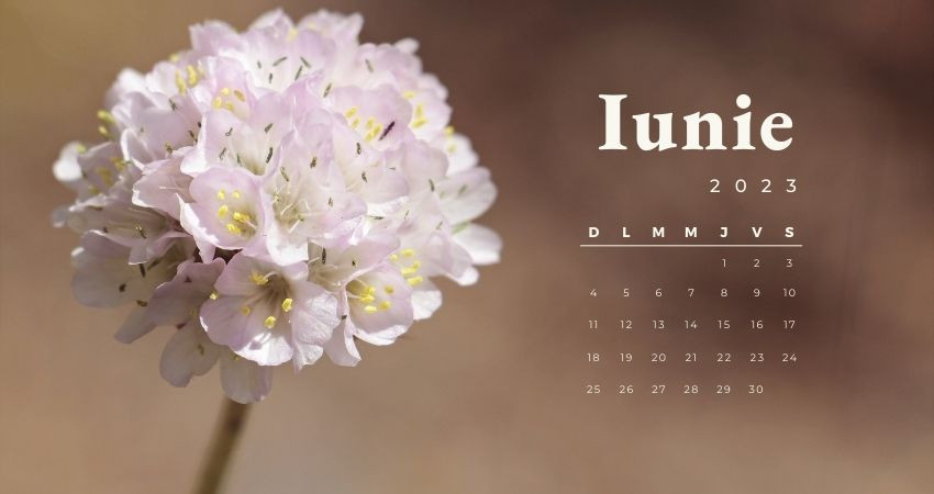 Luna iunie: semnificații și evenimente