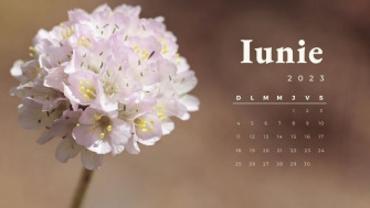 Luna iunie: semnificații și evenimente
