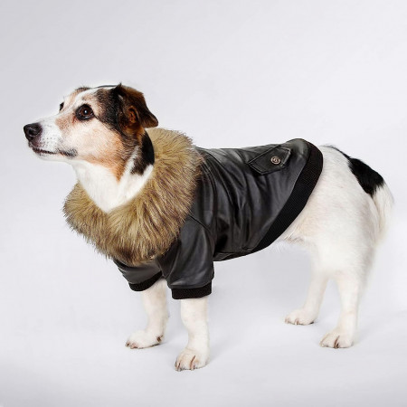 Jacheta cu blanita pentru caini PETLESO, piele PU, negru, XL