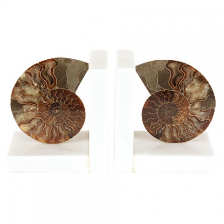 Set de 2 opritoare de carti Ammonite - Img 1