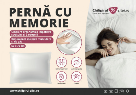 Set de 4 perne Karll cu spuma de memorie maruntita, 50 x 70 cm