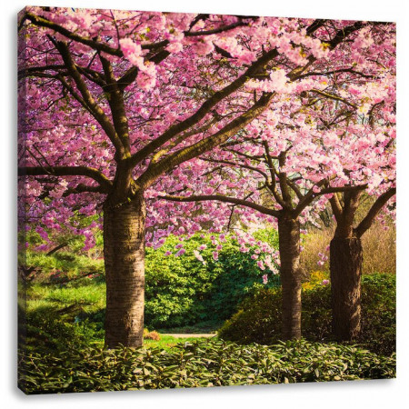 Tablou „Ciresii in floare”, panza, roz, 60 x 60 cm - Img 1