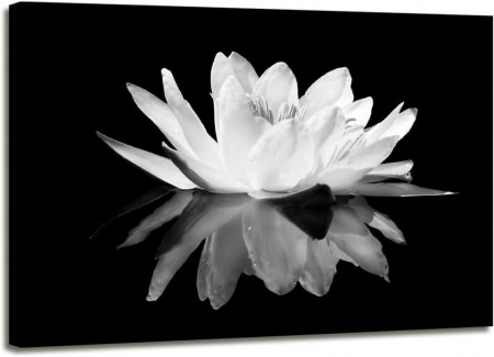 Tablou KEKEMONO, model floare de lotus, panza, alb/negru, 40 x 60 cm - Img 1