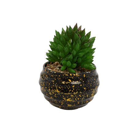 Vas Rotund Cu Planta Suculenta, Verde, Plastic, 9Cm