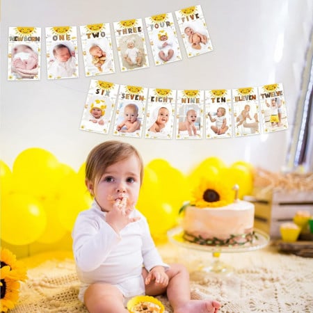 Banner foto pentru bebelusi 1-12 luni Kungfu Mall, carton, multicolor