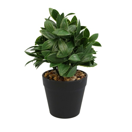 Aranjament In Ghiveci, Verde, Plastic, 20Cm