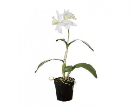 Orhidee alba artificiala in ghiveci, H50 cm - Img 1