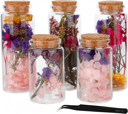 Set de 5 recipiente cu flori pentru mestesuguri Lyeiaa, sticla/flori uscate, multicolor, 12 x 4,7 cm / 8 x 4,7 cm