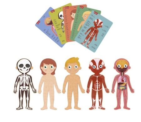 Puzzle educational, Apli Kids, Carton, Corpul uman