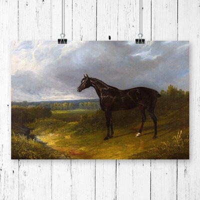 Tablou &quot; Black Horse &quot;, 42 x 59.4 cm - Img 1