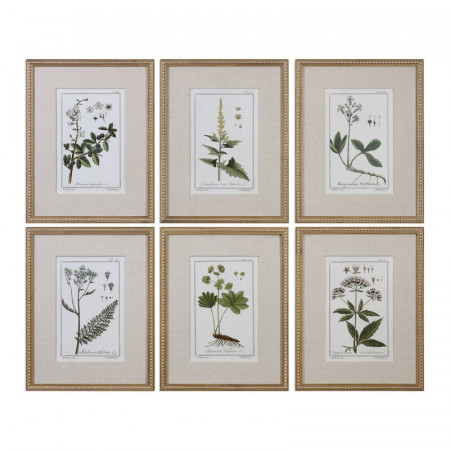 Tablou &#039;Floral Botanical Study&#039;, 6 piese, 22,63cm H x 17,63cm W x 2cm D - Img 1