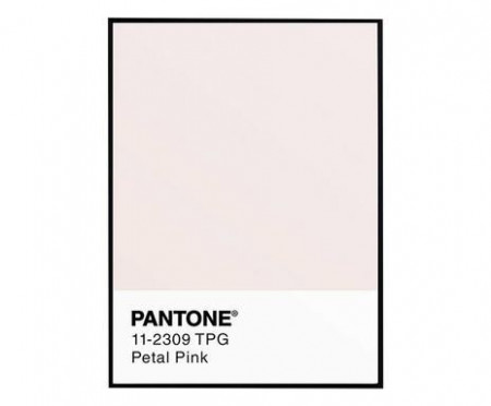 Tablou Pantone Petal Pink, 30x40 cm - Img 1
