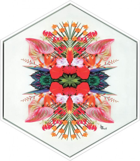 Tablou Pergo Classics, model flori tropicale, panza, multicolor, 50 x 60 cm