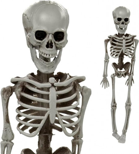 Decoratiune schelet de Halloween, Dlishka, plastic, 40cm