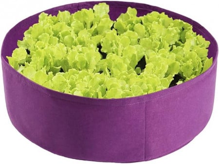 Ghiveci pentru cultivarea legumelor MOOVGTP, violet, 10 x 10 x 5cm