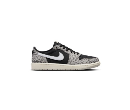 Pantofi barbati Nike, 4491972, Sintetic, 41 EU, Alb