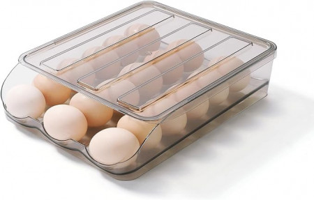 Suport pentru oua, 28.5x21.5x7cm, plastic,transparent
