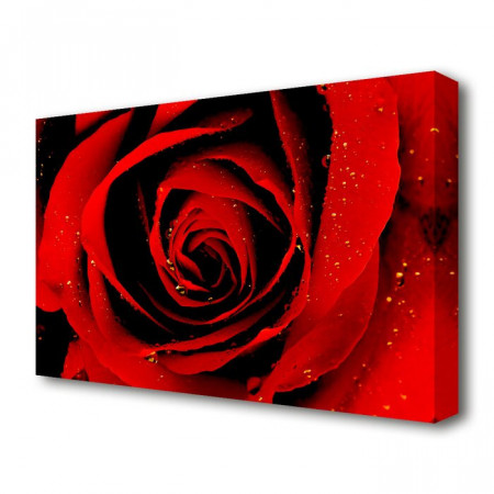 Tablou cu trandafir, 66,04 x 101,6 x 4,4 cm - Img 1