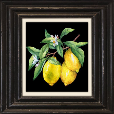 Tablou Lemons, panza, 40 x 40 cm - Img 1