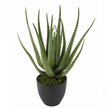 Planta artificiala Aloe Vera, verde/negru, 56 x 20 x 20 cm - Img 1