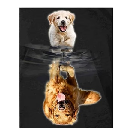 Set de pictura cu diamante Zonyee, caine, multicolor, 30 X 40 cm