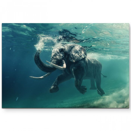 Tablou „Elefant”, albastru/verde, 80 x 120 cm - Img 1
