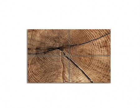 Tablou &#039;Cross section of Tree Trunk Rings&#039;, 4 piese, panza, maro, 80 x 120 x 2 cm - Img 1