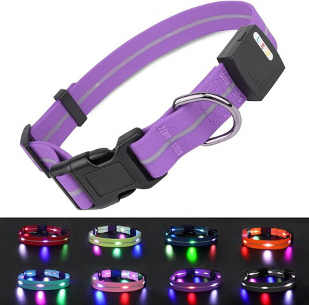 Zgarda de câine cu LED , violet, L