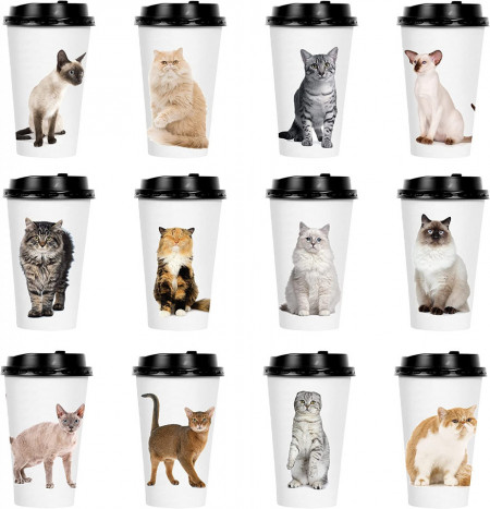 Set de 72 pahare de unica folosinta cu pisici Youngever, hartie/plastic, multicolor, 14, 5 x 8, 6 cm - Img 1