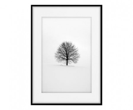 Tablou Tree, 50x70 cm - Img 1