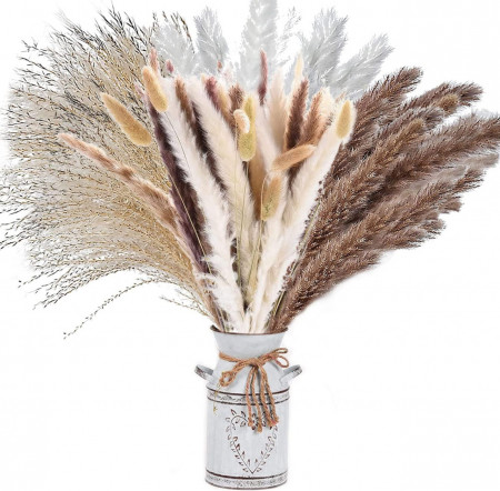 Buchet de 73 fire pampas Sunshine Smile, flori uscate, alb/maro, 43 cm