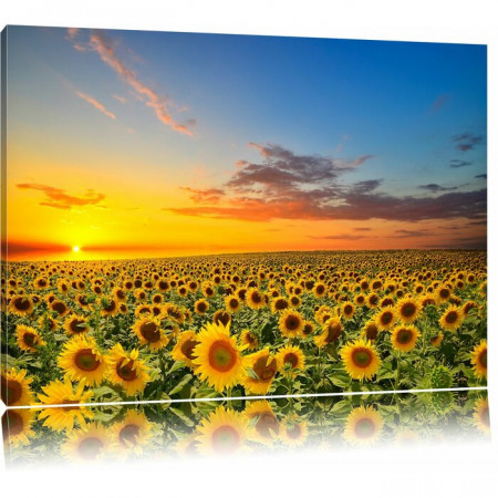 Tablou „Lan de floarea-soarelui”, galben/albastru, 80 x 120 cm - Img 1